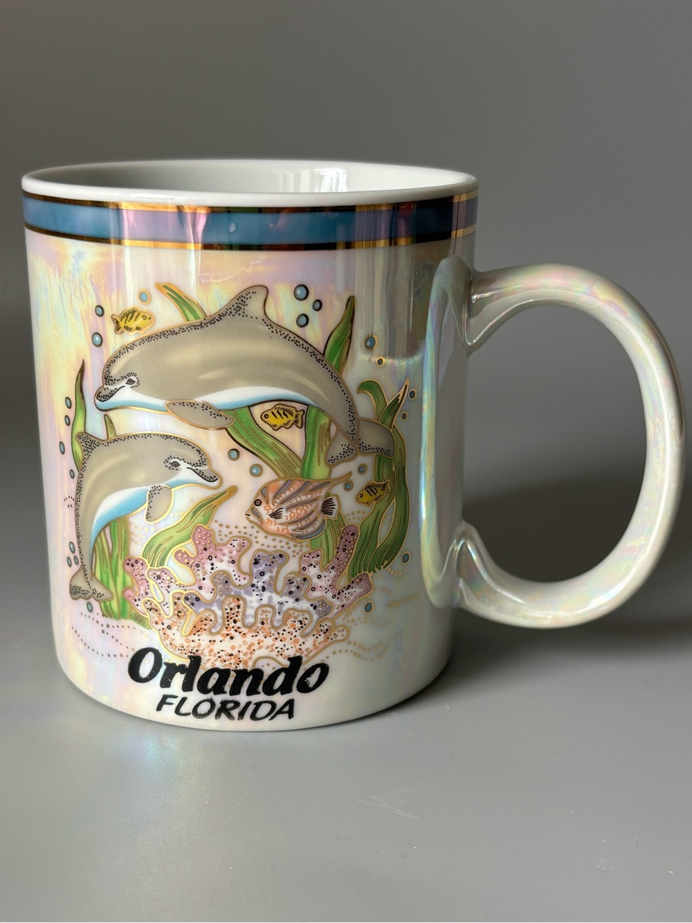 Orlando Florida Dolphin Tropical Fish Coral Reef Iridescent Souvenir Mug 10oz
